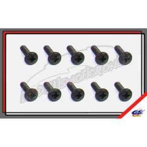 SET VITI M3X10