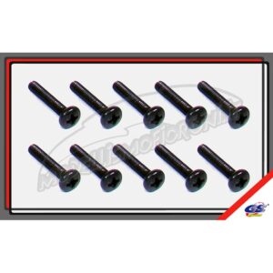 BH M3x16mm(10)