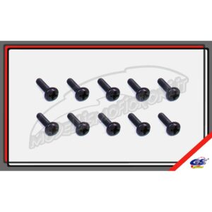 M4X12mm BH(10)