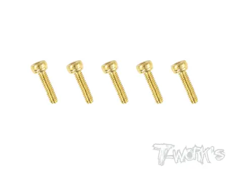 T-Work's 2x10mm VITI TESTA CILINDRO ACCIAO GOLD