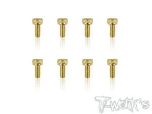 T-Work's 2,5x6mm VITI TESTA CILINDRO ACCIAO GOLD