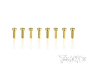 T-Work's 2,5x8mm VITI TESTA CILINDRO ACCIAO GOLD
