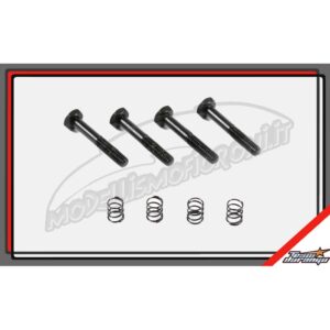 BRAKE SCREW & SPRING SET