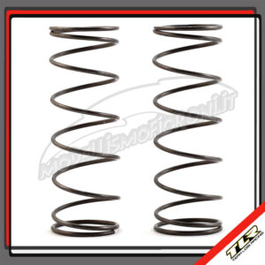 16mm EVO SPRING 4.5 RATE FRONT