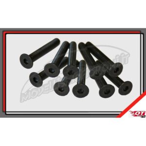 SET VITI (10pz) MUG/ASSO/XRAY/LOSI ANT