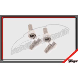 2.5MM X 5MM MINI MOTOR SCREWS (4)