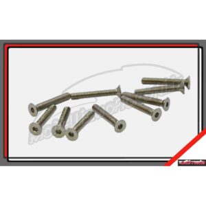 VITE M2,5X16MM TESTA SVASATA (10PZ)