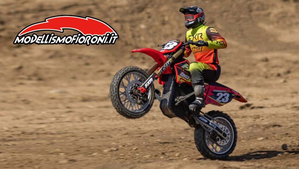 Losi Promoto MX